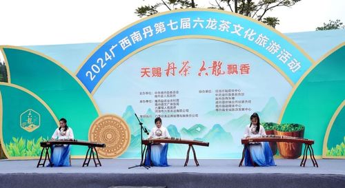 歌聲悠揚(yáng) 茶韻飄香 南丹第七屆六龍茶文化旅游活動(dòng)開(kāi)幕